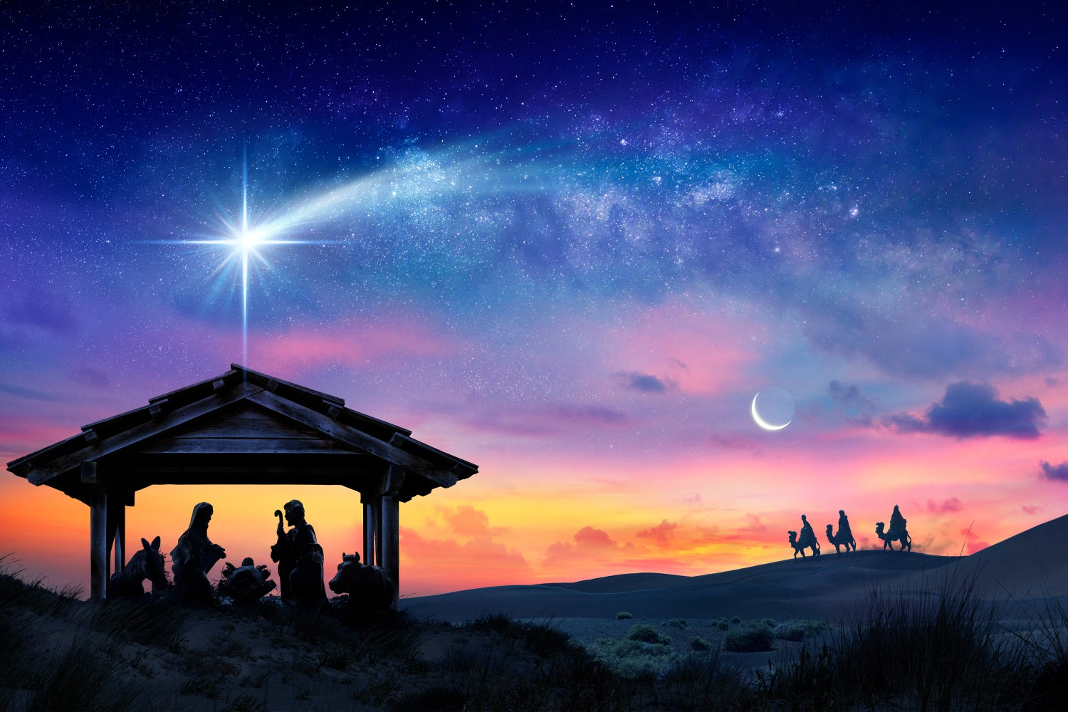 Nativity Photo Backdrop Sunset Manger Star Bethlehem Backdrop BRP12-441