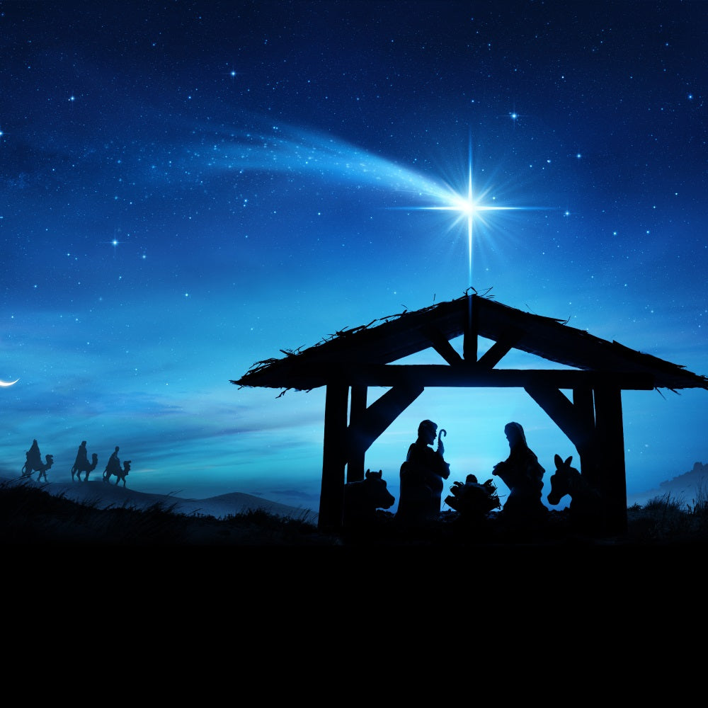 Nativity Sky Backdrop Holy Scene Manger Starry Backdrop BRP12-444