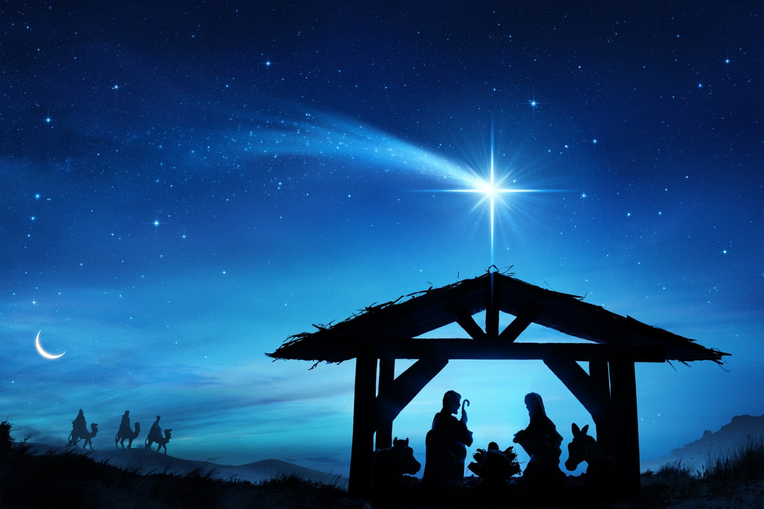 Nativity Sky Backdrop Holy Scene Manger Starry Backdrop BRP12-444