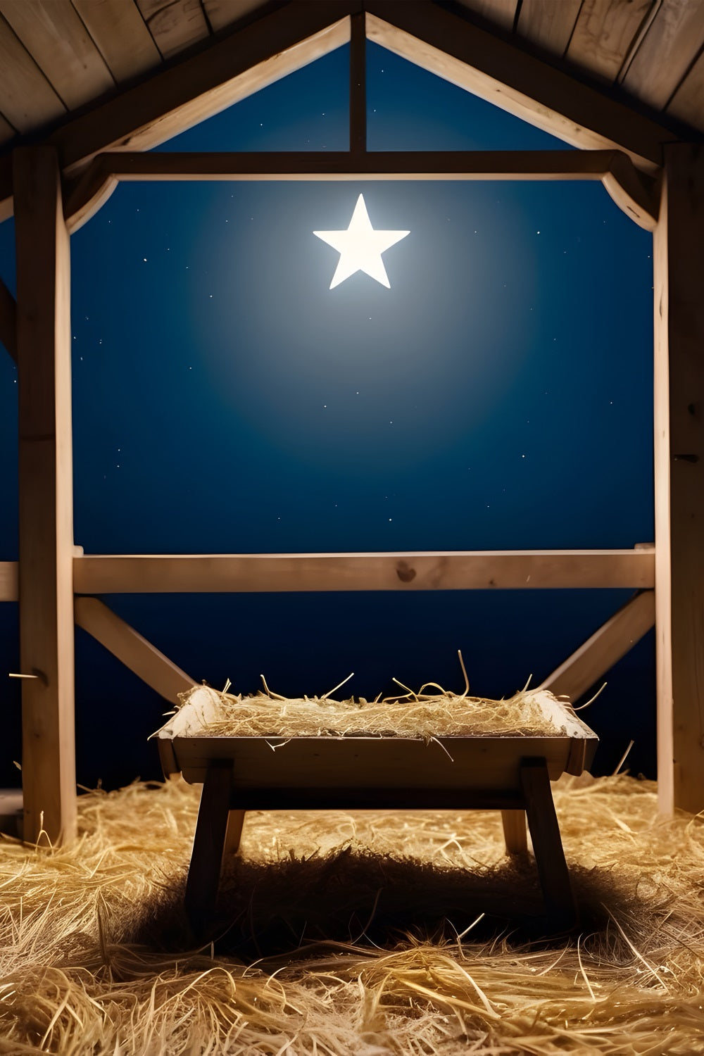 Nativity Star Backdrop Bright Bethlehem Manger Backdrop BRP12-446