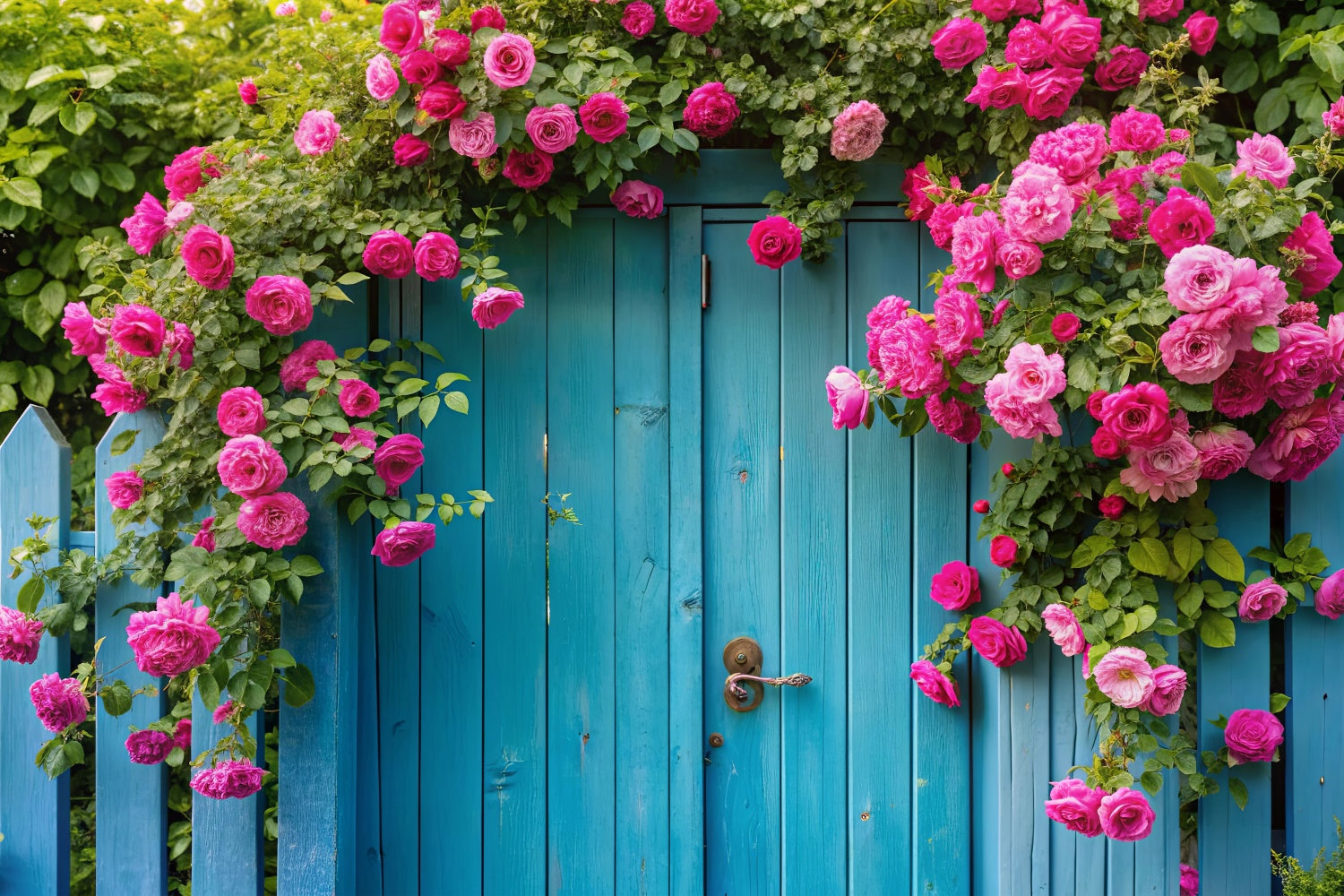 Spring Photo Backdrop Pink Roses Vintage Blue Gate Backdrop BRP12-489