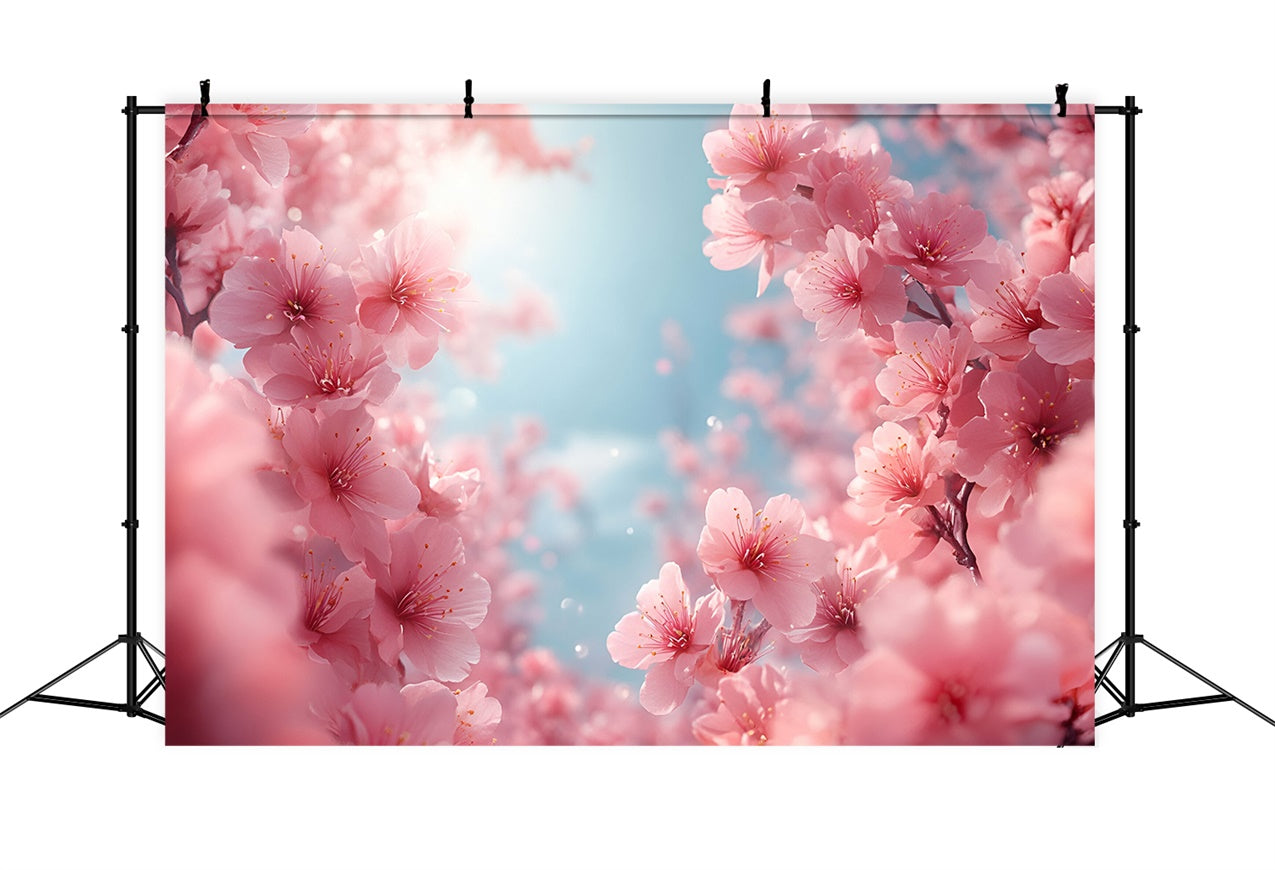 Photography Backdrops Spring Blush Pink Cherry Blossoms Backdrop BRP12-500