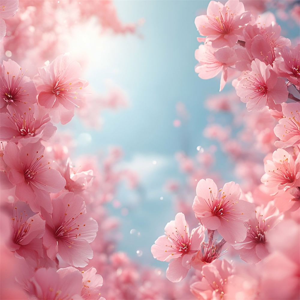 Photography Backdrops Spring Blush Pink Cherry Blossoms Backdrop BRP12-500