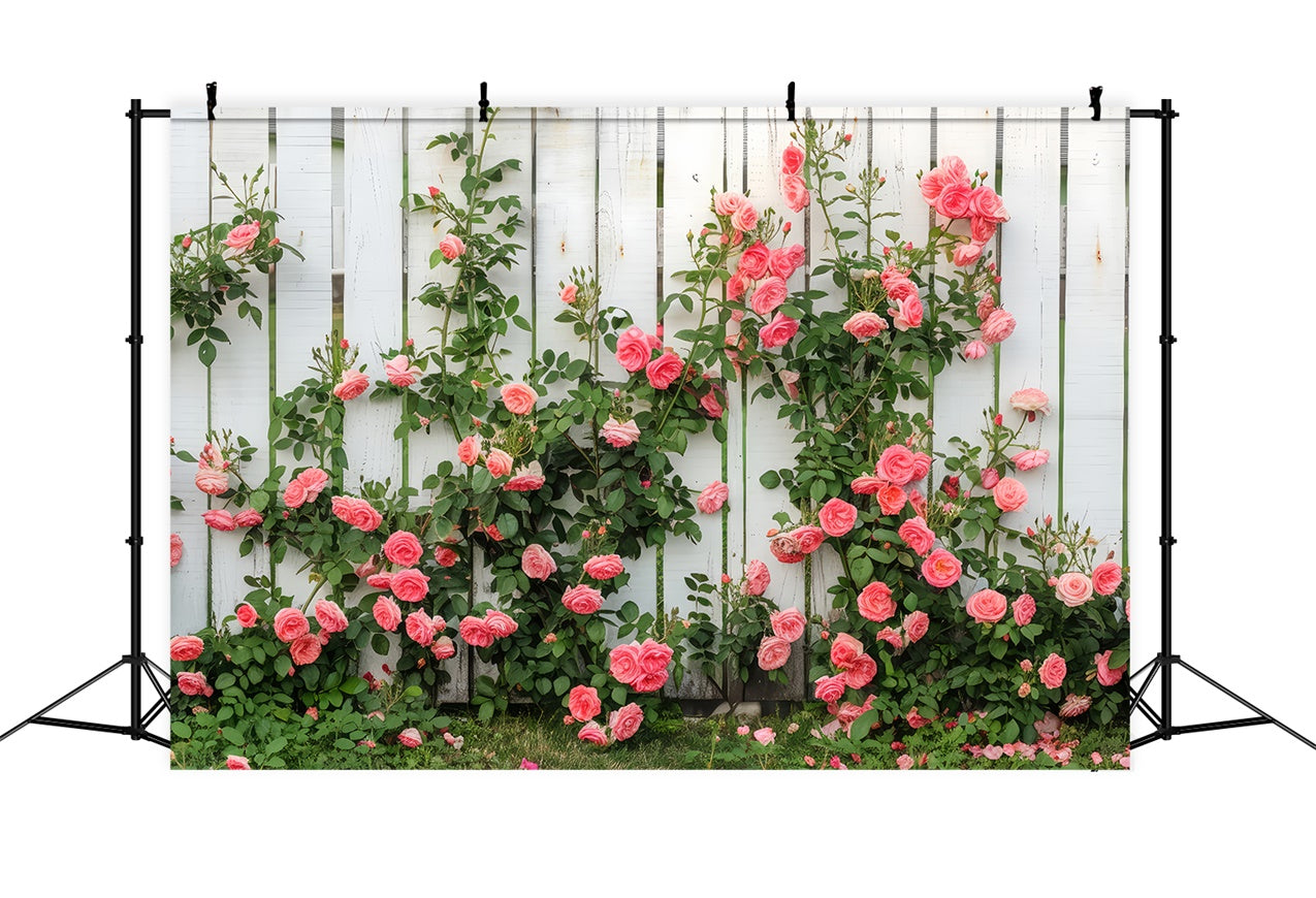 Floral Theme Backdrop White Wooden Fence Climbing Roses Backdrop BRP12-560