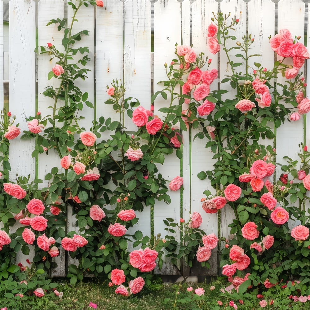 Floral Theme Backdrop White Wooden Fence Climbing Roses Backdrop BRP12-560