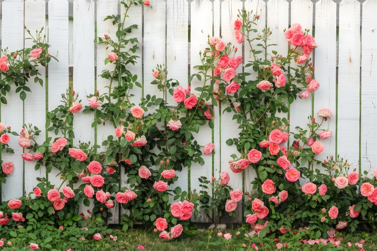 Floral Theme Backdrop White Wooden Fence Climbing Roses Backdrop BRP12-560