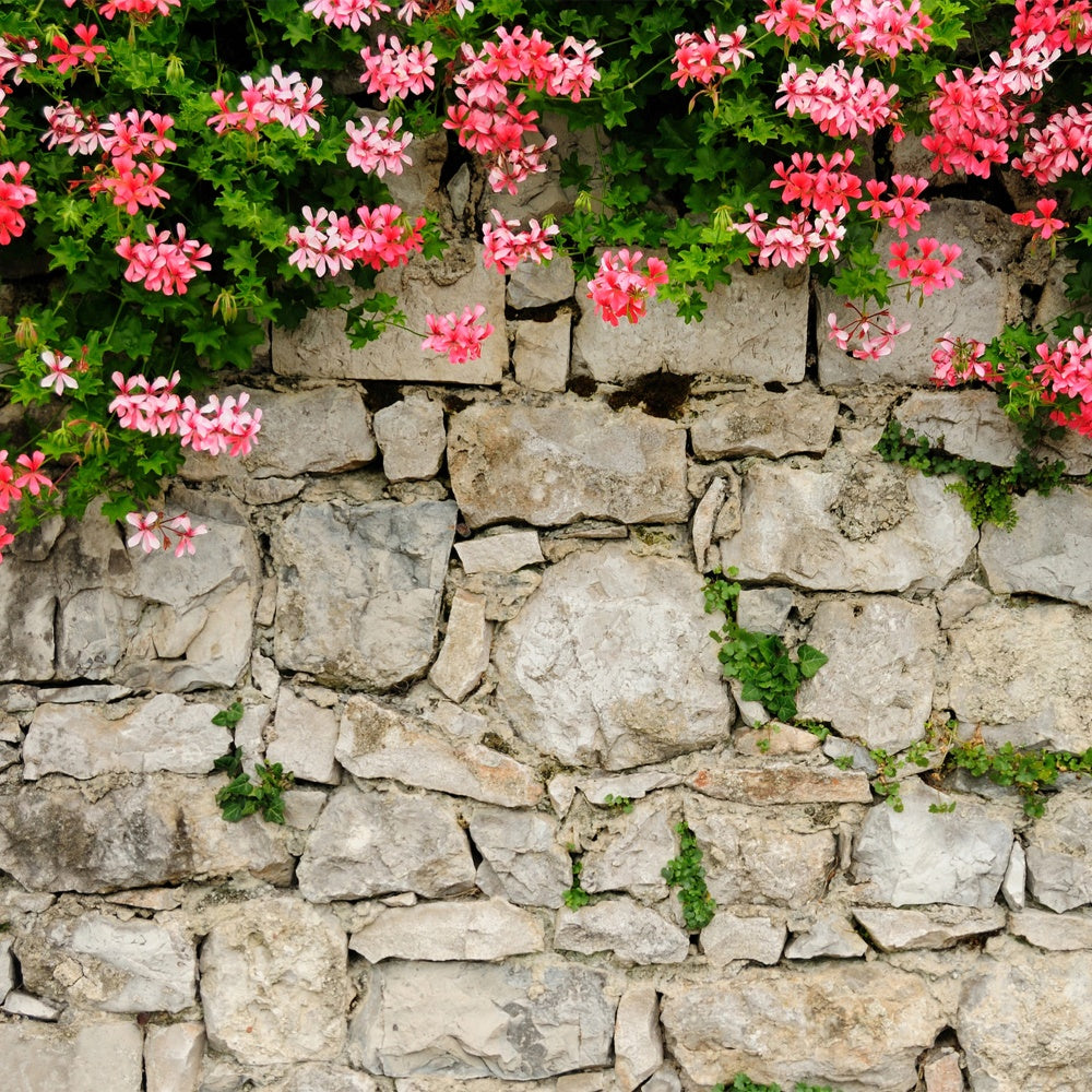 Flower Wall Photography Backdrop Vibrant Pink Stone Wall Backdrop BRP12-565