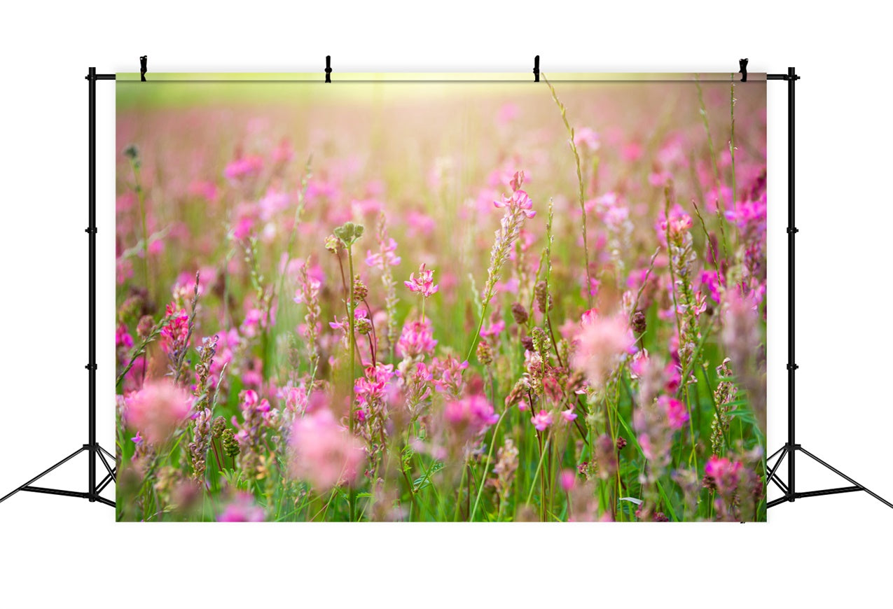 Backdrop Floral Romantic Pink Blossom Meadow Backdrop BRP12-569