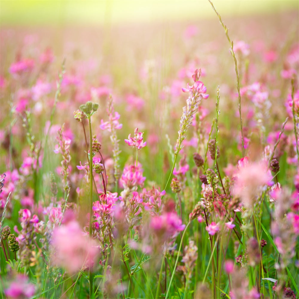 Backdrop Floral Romantic Pink Blossom Meadow Backdrop BRP12-569