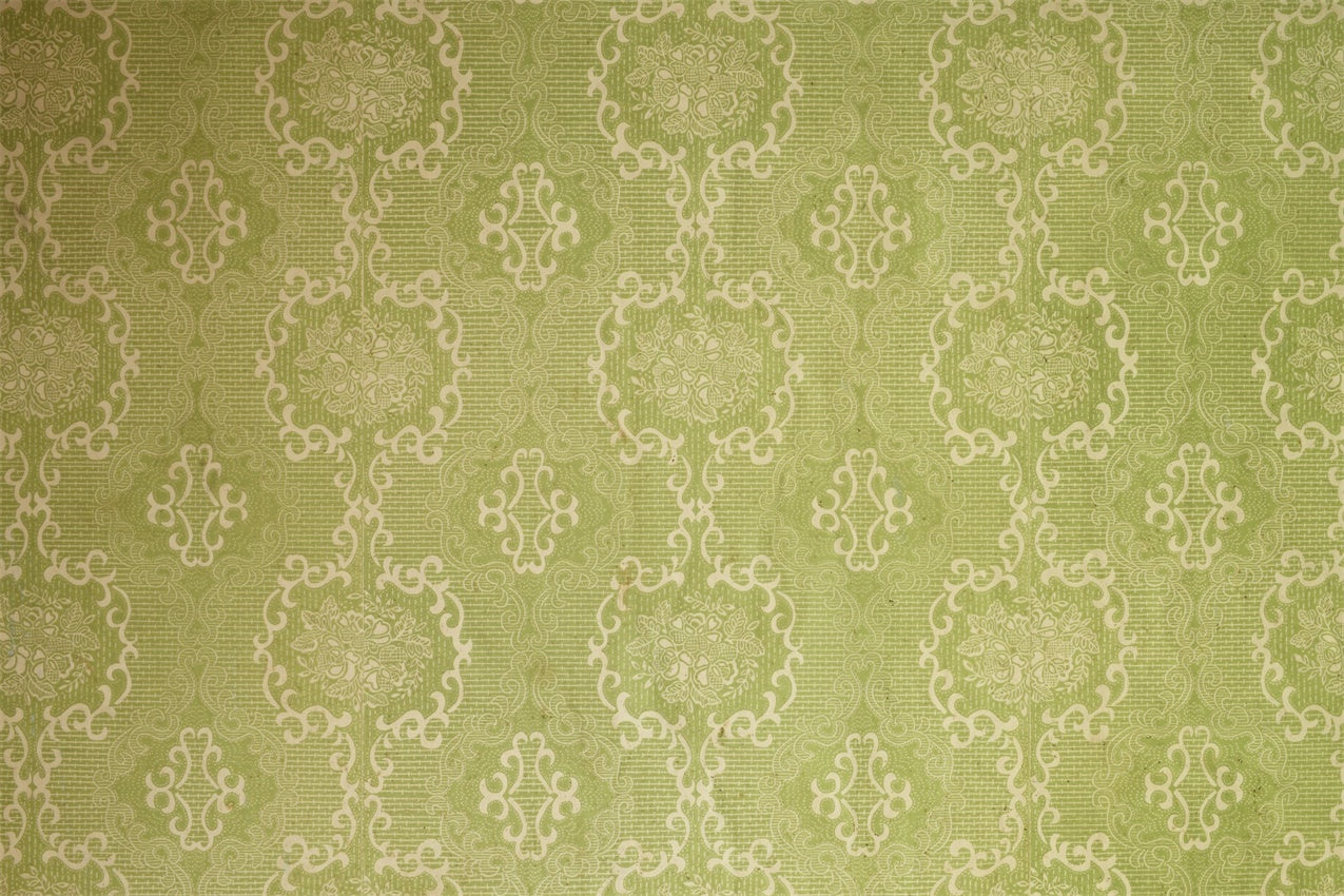 Damask Photography Backdrops Green Floral Medallion Backdrop BRP12-613