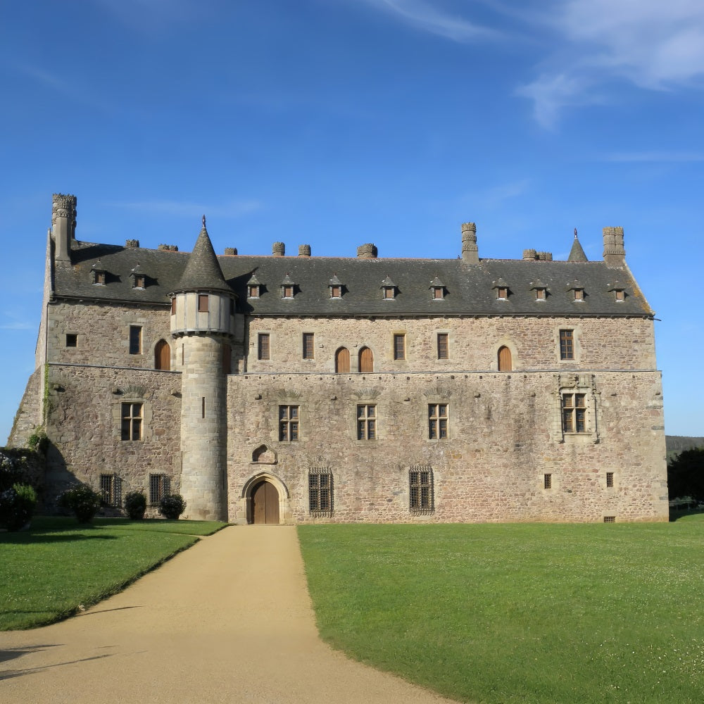 Architecture Backdrop Majestic Medieval Stone Tower Backdrop BRP12-644