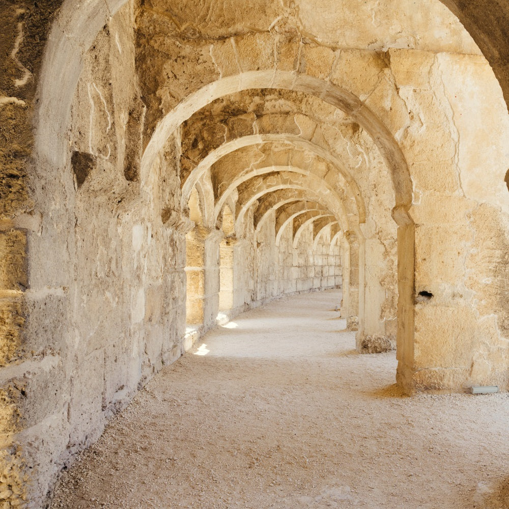 Architecture Backdrop Rustic Romanesque Stone Hallway Backdrop BRP12-648