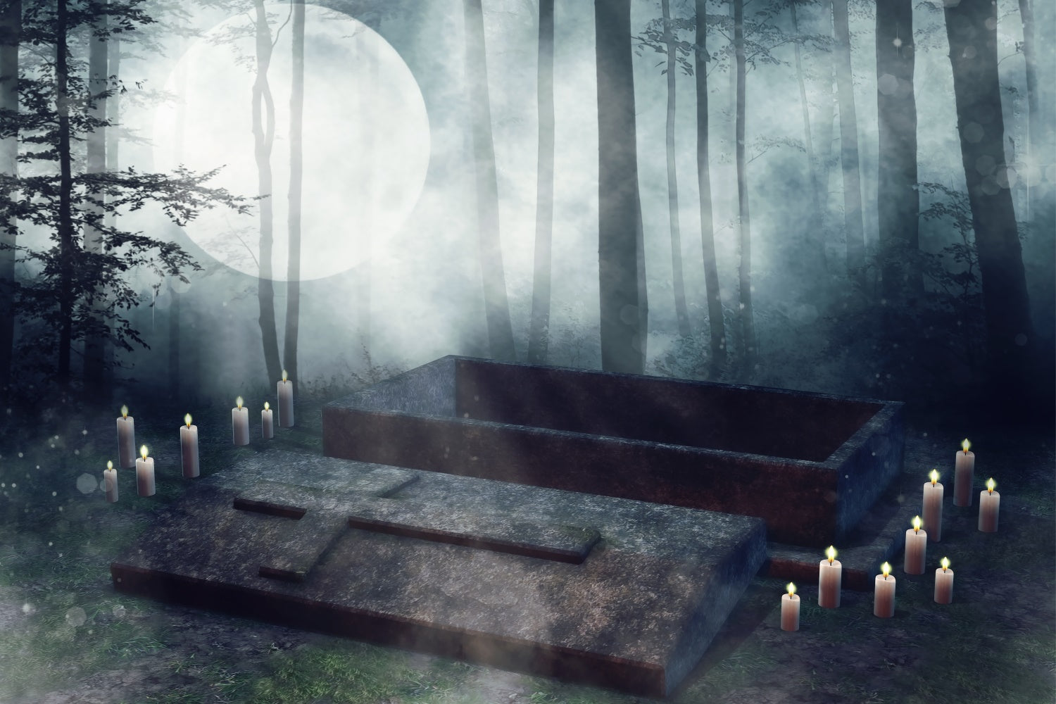 Coffin Backdrop Moonlit Coffin Open Forest Shadows Backdrop BRP12-694