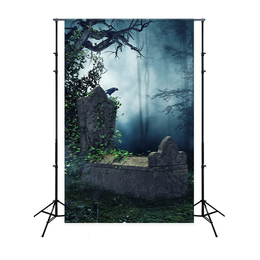 Coffin Backdrop Eerie Forest Raven Tombstone Backdrop BRP12-701