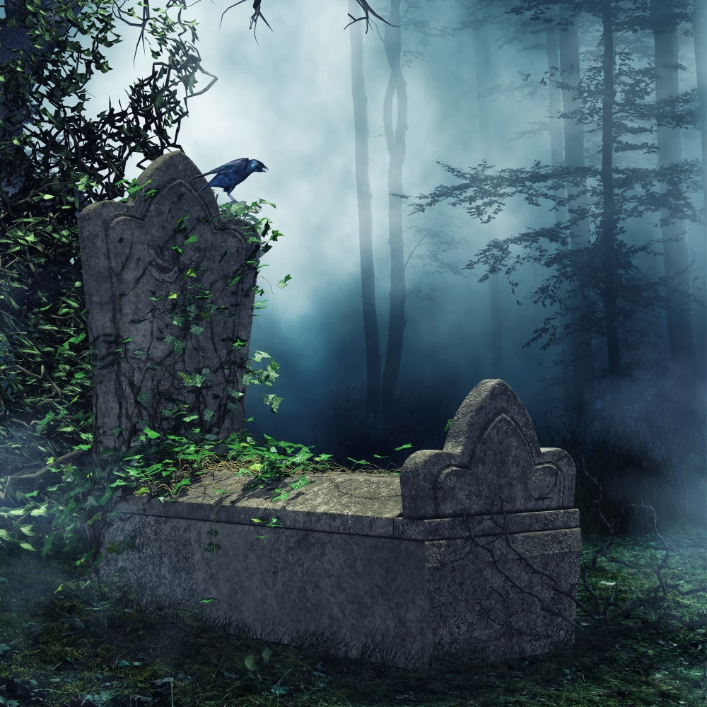 Coffin Backdrop Eerie Forest Raven Tombstone Backdrop BRP12-701