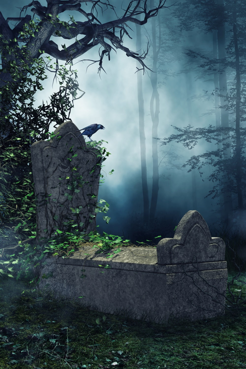 Coffin Backdrop Eerie Forest Raven Tombstone Backdrop BRP12-701