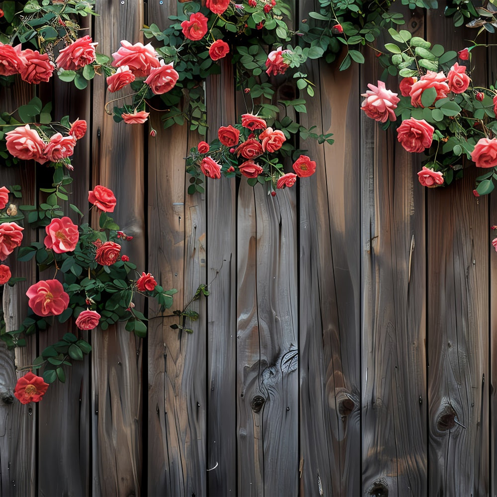 Flower Backdrop Photography Blooming Red Roses Fence Backdrop BRP2-93