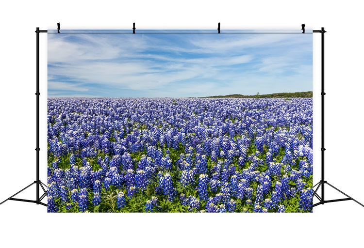 Floral Photography Backdrop Wildflower Meadow Blue Sky Backdrop BRP2-94