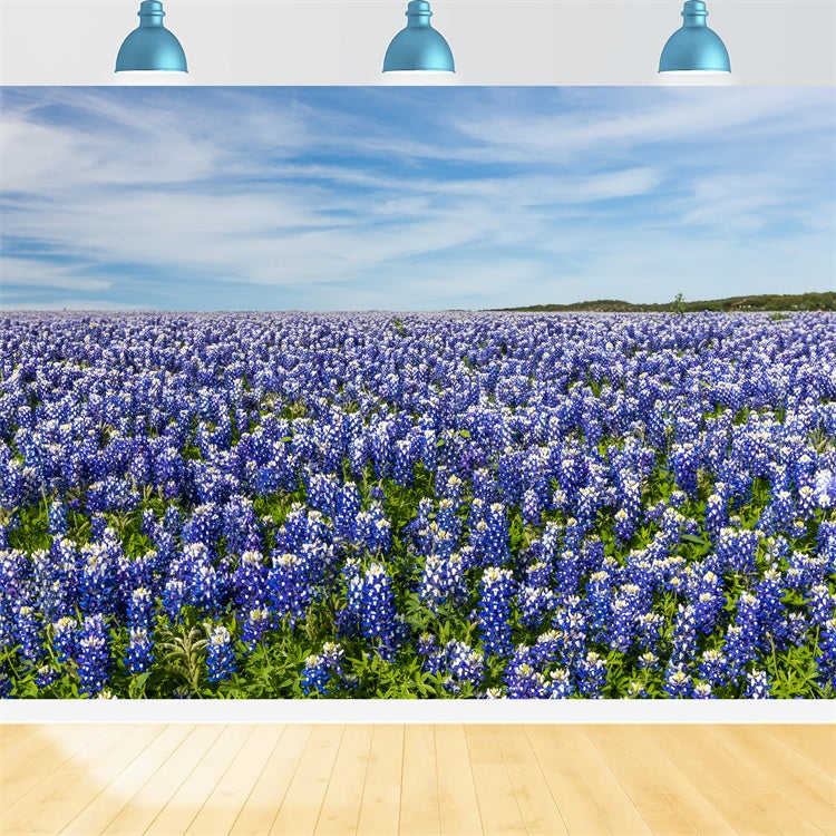 Floral Photography Backdrop Wildflower Meadow Blue Sky Backdrop BRP2-94