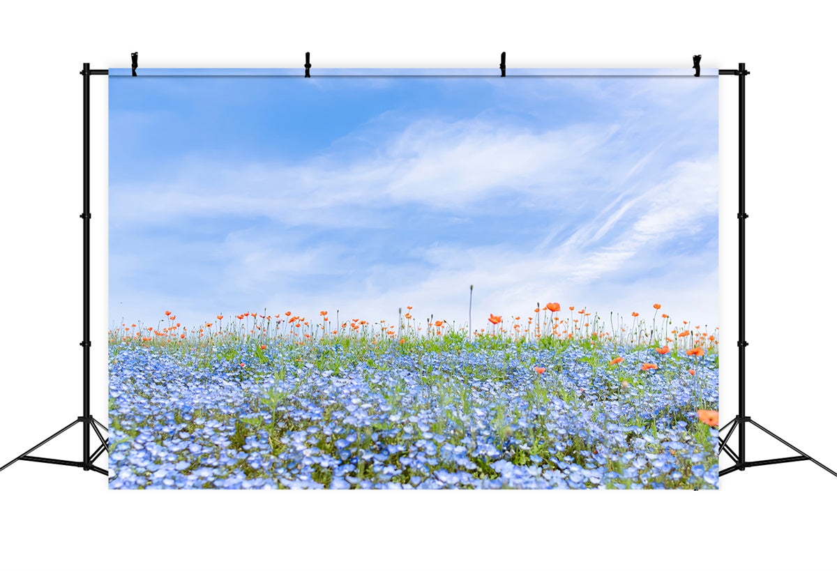 Floral Backdrops For Photography Blue Wildflower Field Sky Backdrop BRP2-95