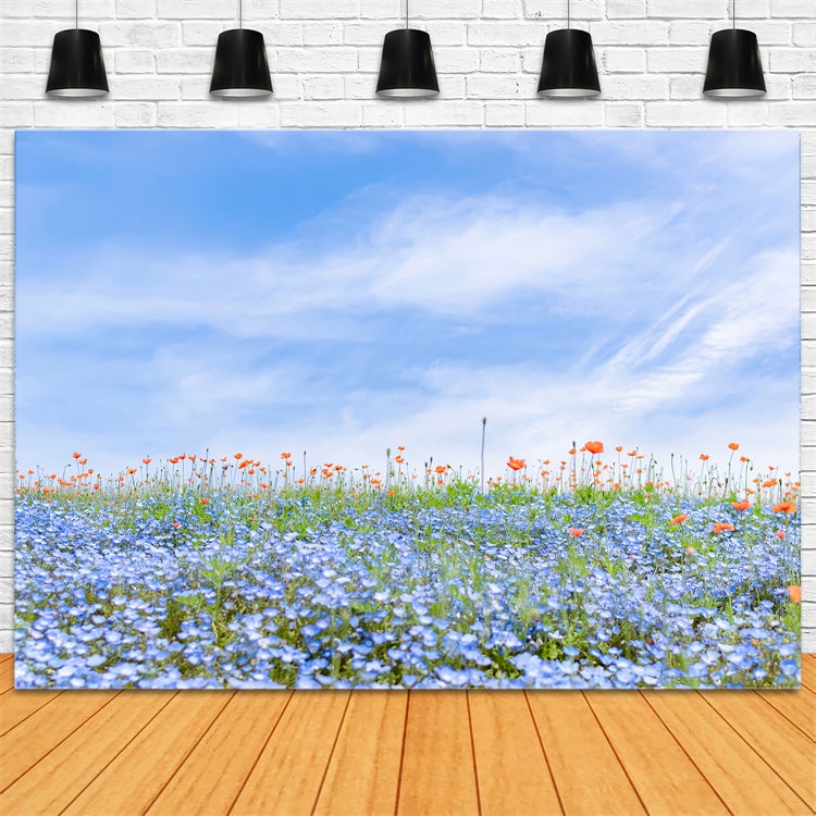 Floral Backdrops For Photography Blue Wildflower Field Sky Backdrop BRP2-95