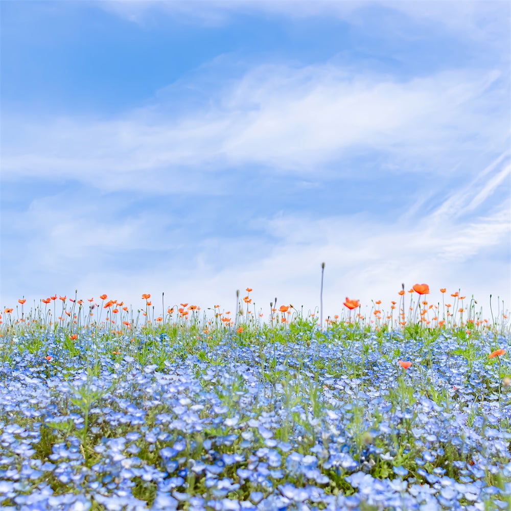 Floral Backdrops For Photography Blue Wildflower Field Sky Backdrop BRP2-95