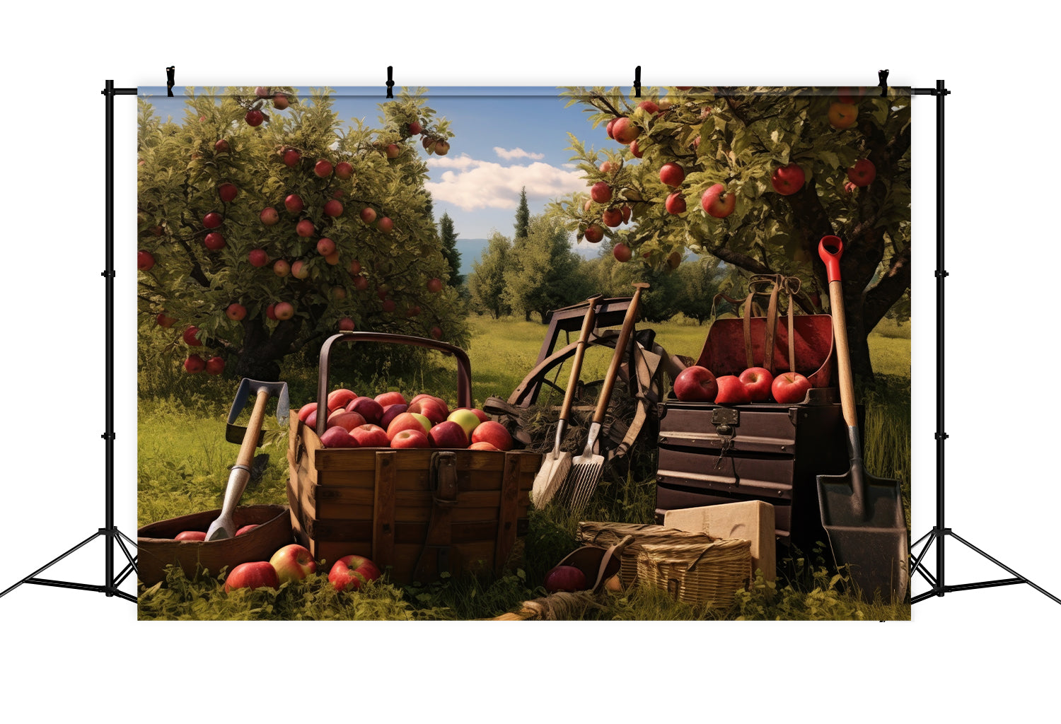 Autumn Apple Tree Harvest Backdrop for Photography BRP7-104