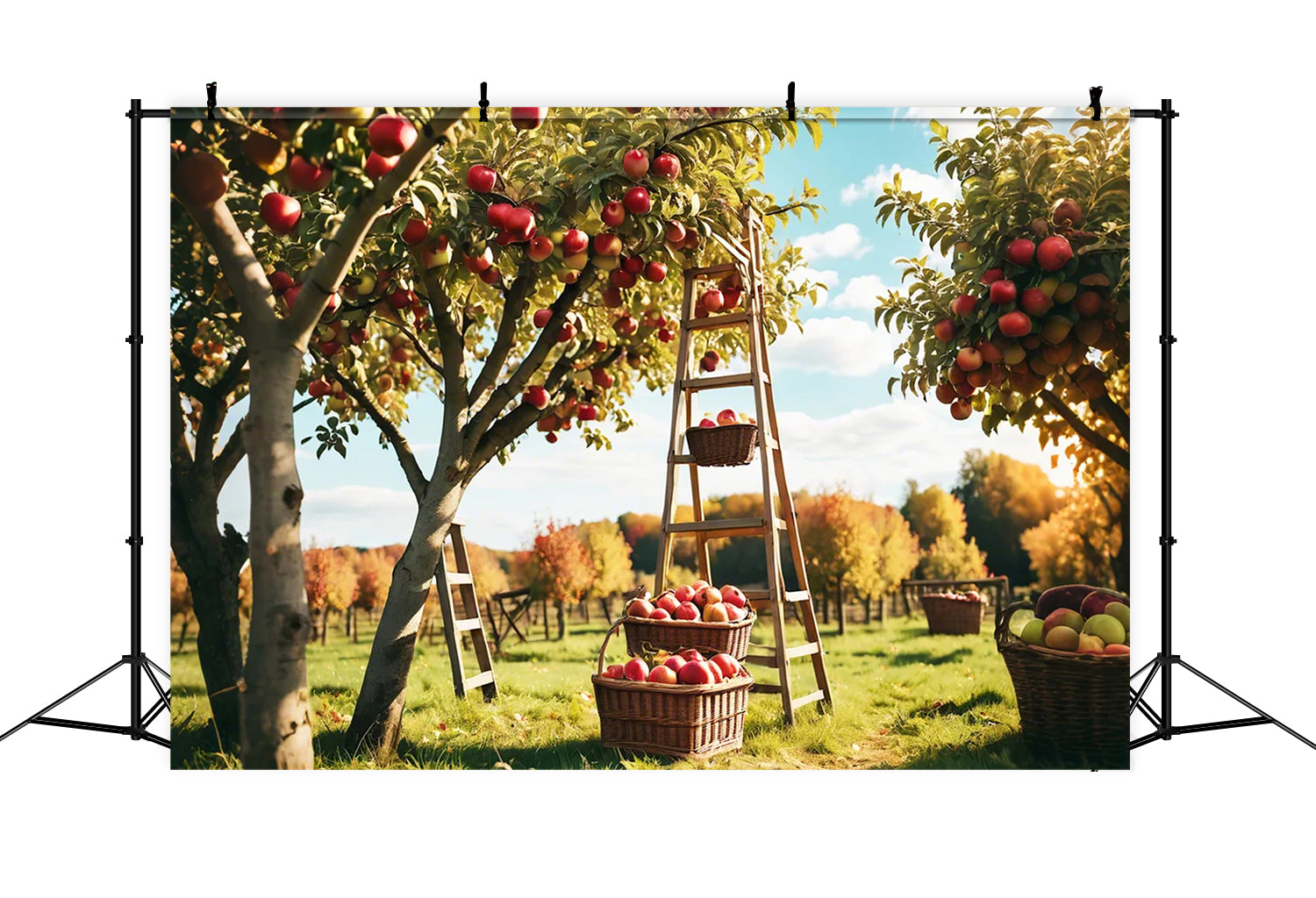 Autumn Outdoor Forest Red Apple Orchard Backdrop BRP7-111