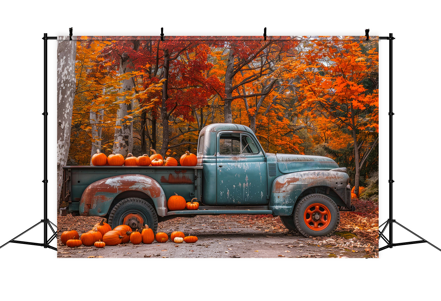 Autumn Maple With Pumpkins And Truck Backdrop BRP7-112