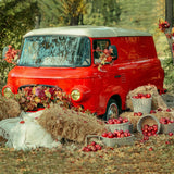 Autumn Leaf Red Car Apple Photography Backdrop BRP7-114