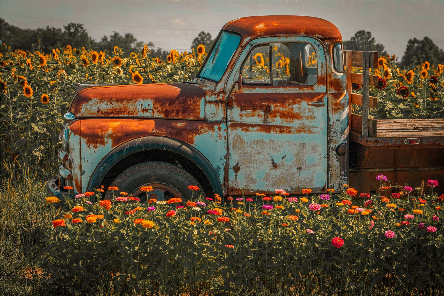 Autumn Sunflower Farm Truck Photography Backdrop BRP7-115