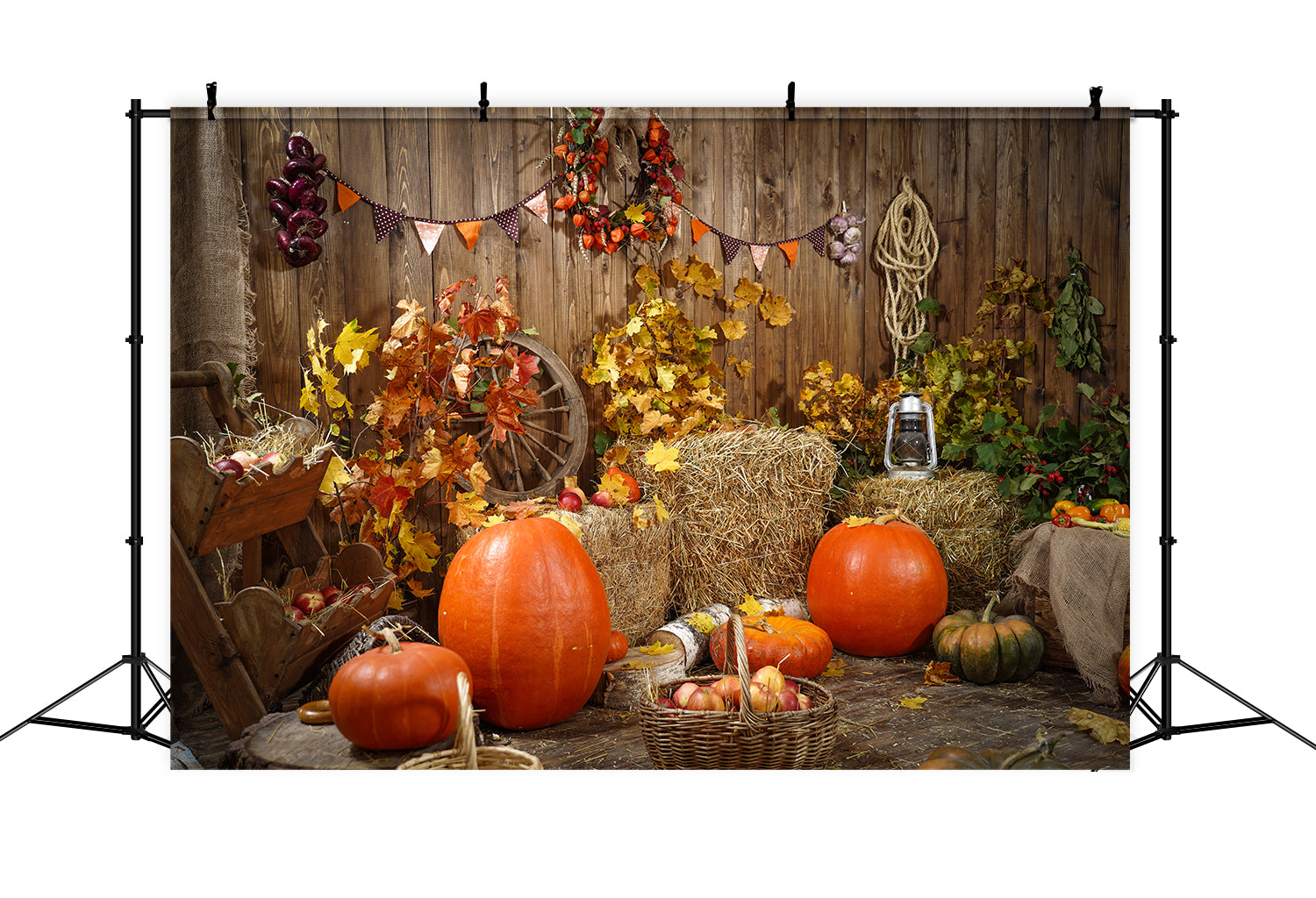 Autumn Harvest with Pumpkins Photography Backdrop BRP7-117