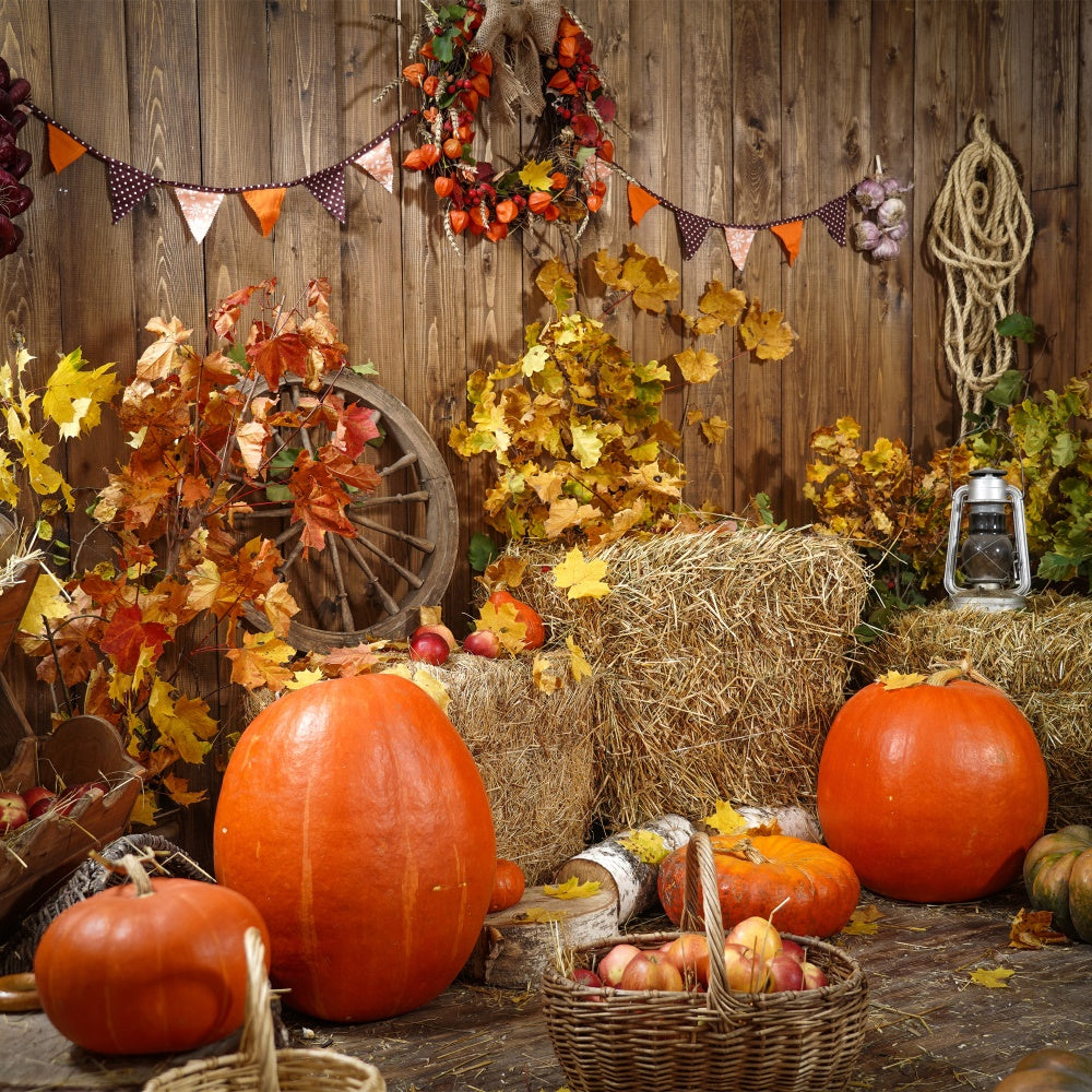 Autumn Harvest with Pumpkins Photography Backdrop BRP7-117