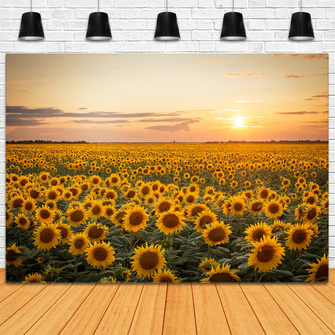 Autumn Sunflower Sunset Photography Backdrop BRP7-118