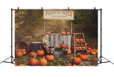 Pumpkin Stand Autumn Photography Backdrop BRP7-120