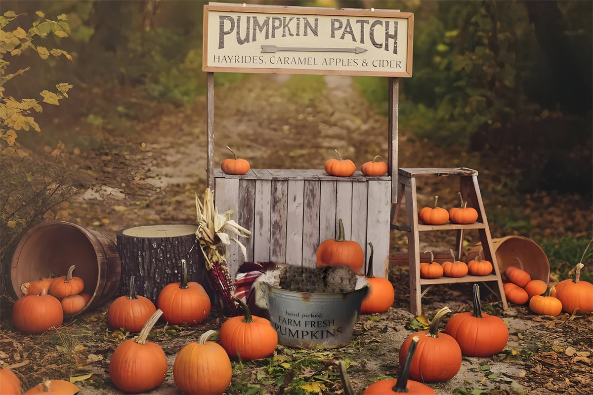 Pumpkin Stand Autumn Photography Backdrop BRP7-120