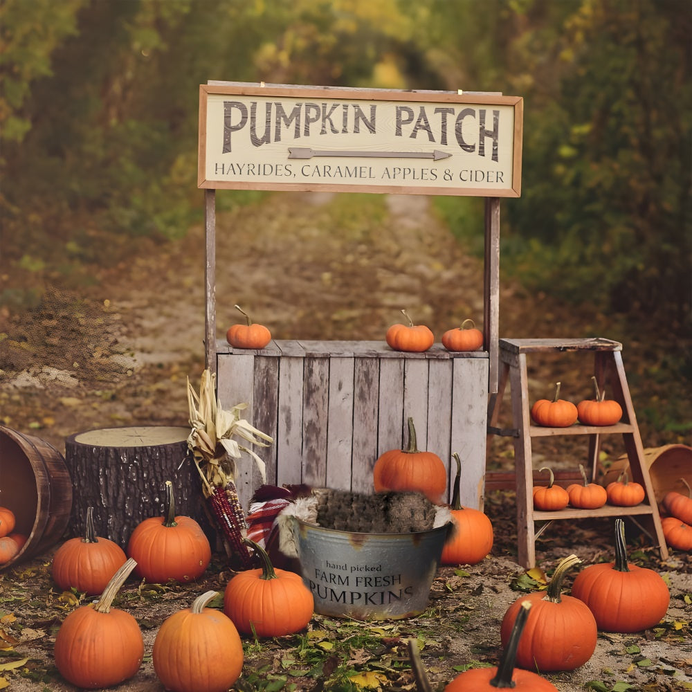 Pumpkin Stand Autumn Photography Backdrop BRP7-120