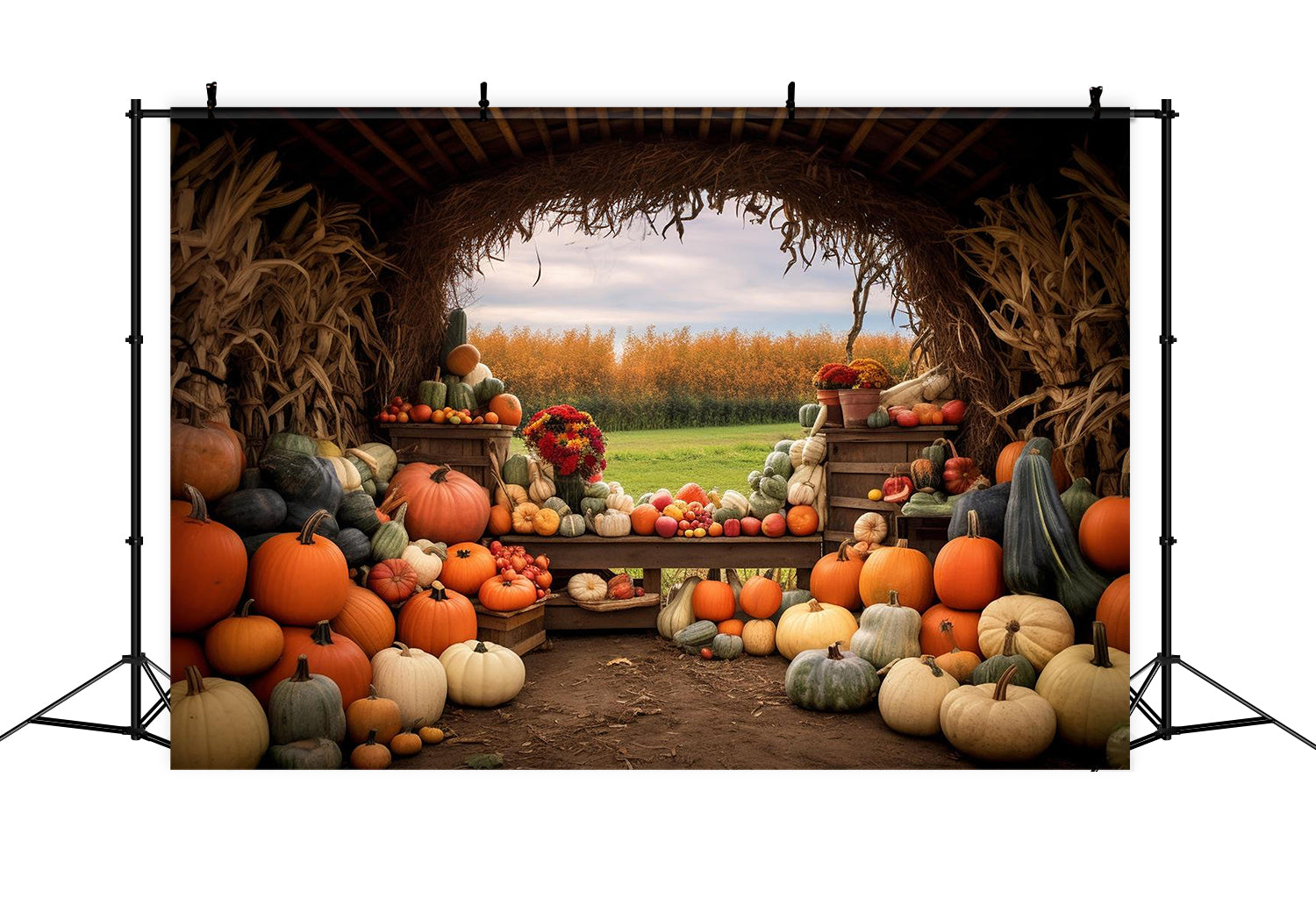 Autumn Pumpkin Farm Backdrop for Photography BRP7-122