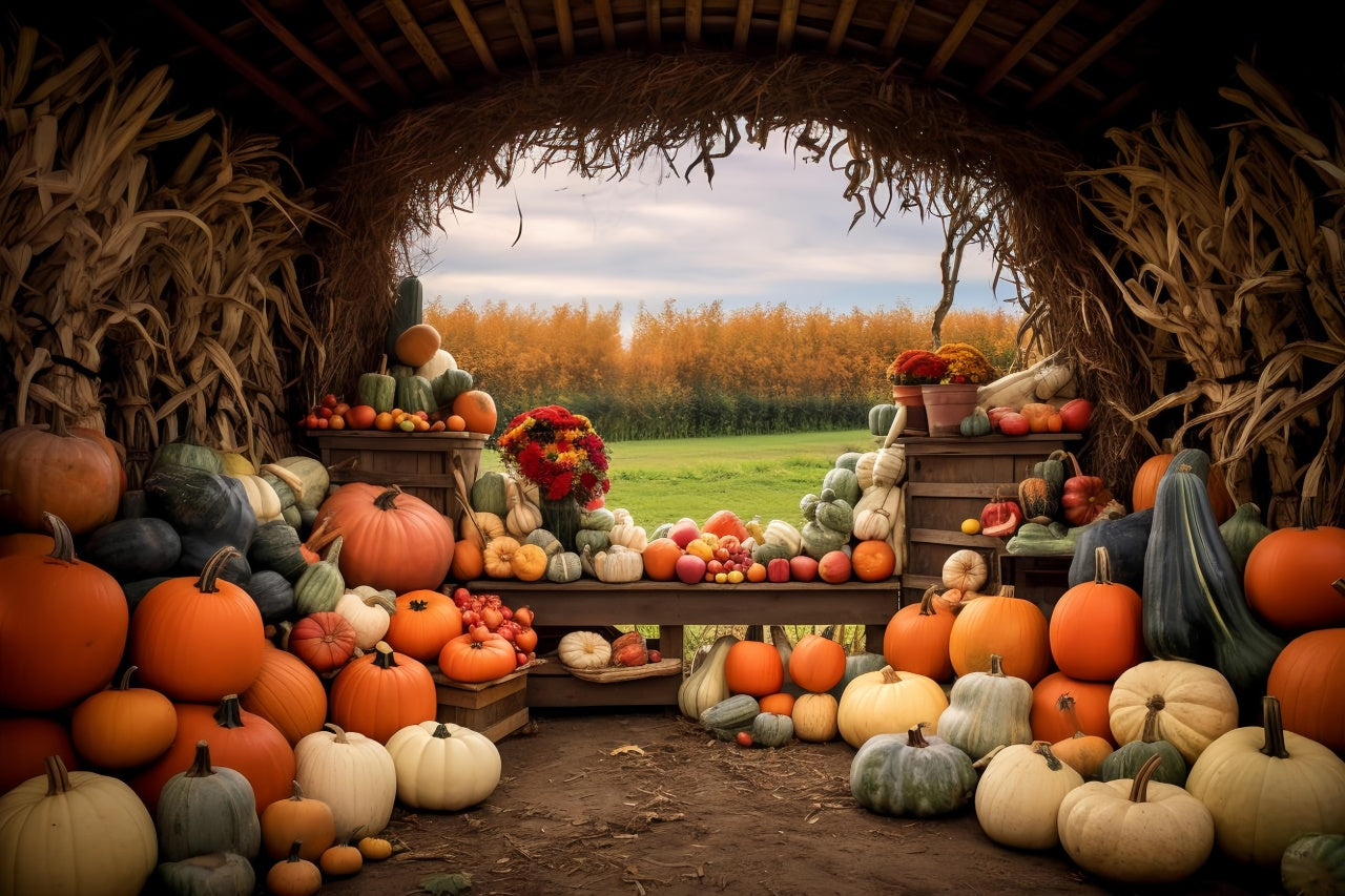 Autumn Pumpkin Farm Backdrop for Photography BRP7-122