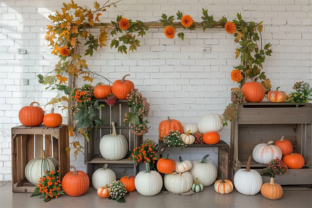 Autumn Pumpkin Shelf White Wall Photography Backdrop BRP7-141