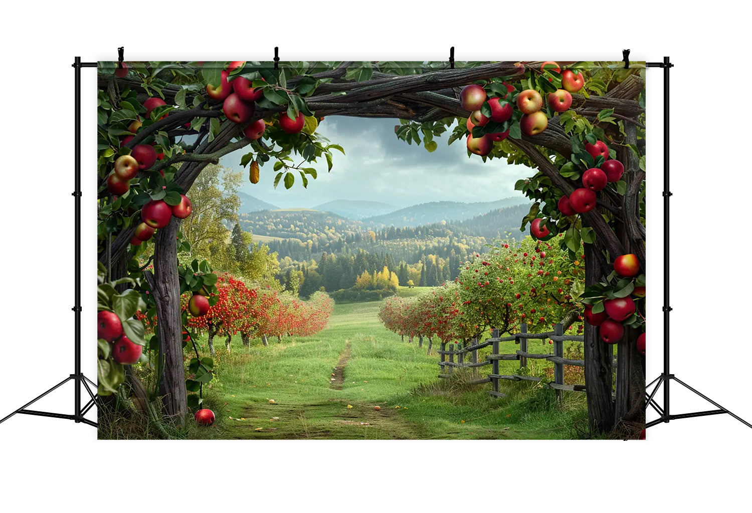 Autumn Apple Arch Farm Mountain Photography Backdrop BRP7-142