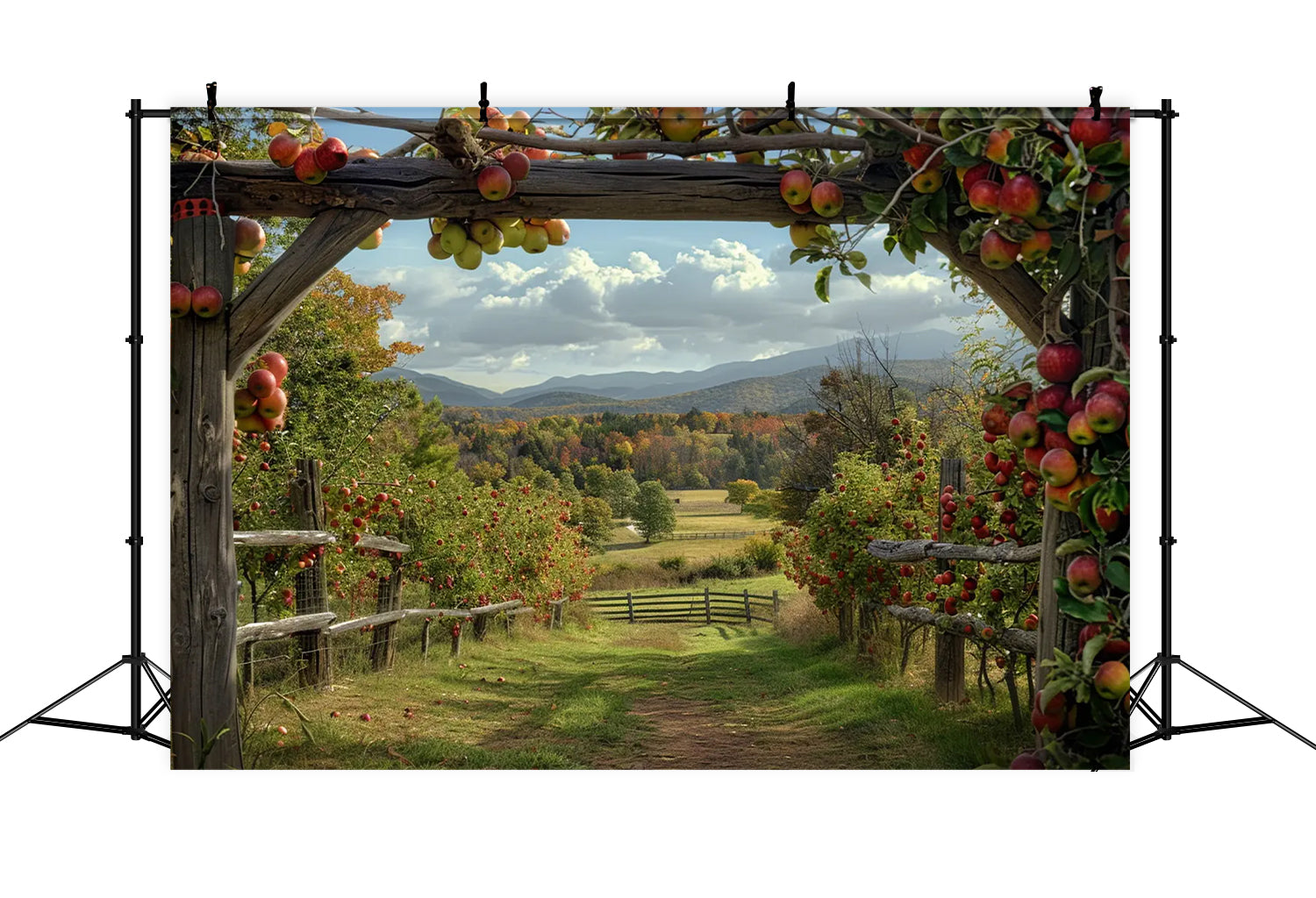 Autumn Apple Farm Backdrop for Photography BRP7-143