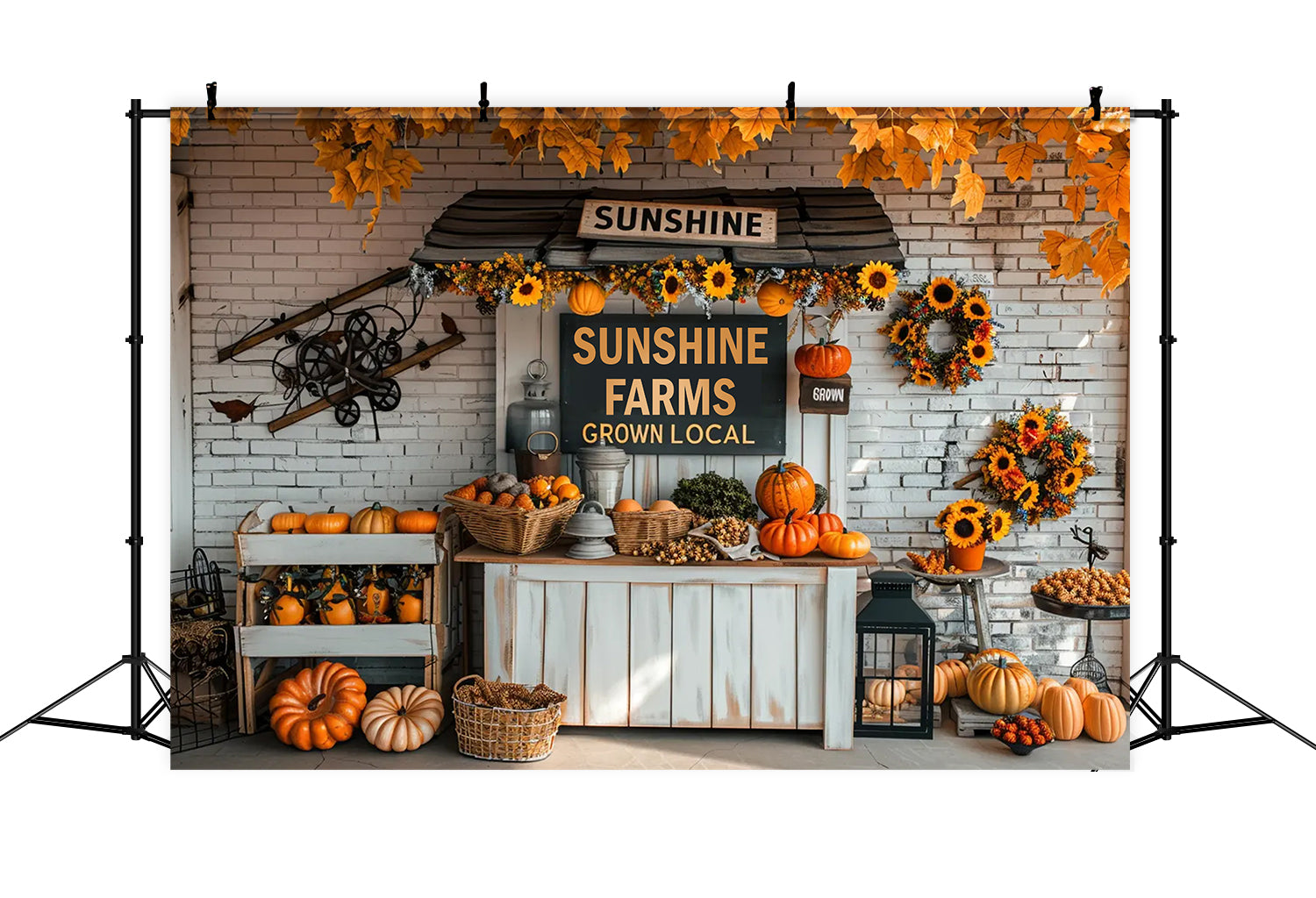 Fall Small Pumpkin Market Backdrop BRP7-158