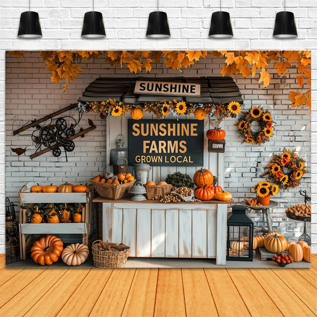 Fall Small Pumpkin Market Backdrop BRP7-158