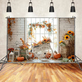 Autumn Straw Pumpkin Maple Leaf Tricycle Backdrop BRP7-163