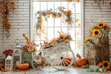 Autumn Straw Pumpkin Maple Leaf Tricycle Backdrop BRP7-163