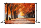 Autumn Golden Leaves Park Path Photography Background BRP7-194