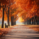 Autumn Golden Leaves Park Path Photography Background BRP7-194