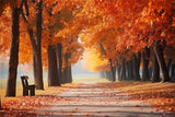 Autumn Golden Leaves Park Path Photography Background BRP7-194