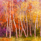 Colorful Autumn Birch Forest Backdrop for Photography BRP7-197